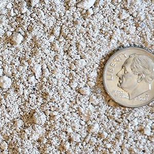 photo of Compost Sugar product